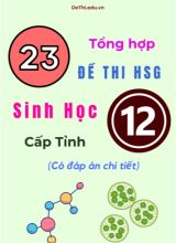 Tổng hợp 23 đề thi HSG Sinh học Lớp 12 cấp Tỉnh (Có đáp án chi tiết)